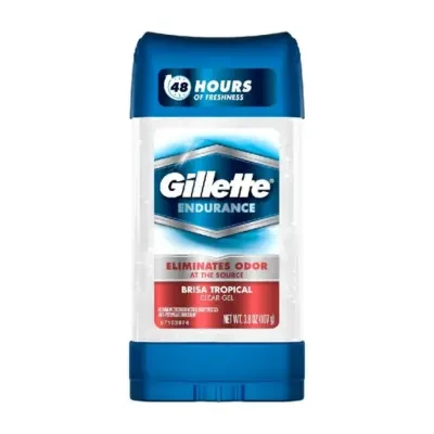 Gillette Endurance Brisa Tropical Anti-Perspirant 107g
